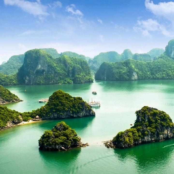 🌴子墨🌴