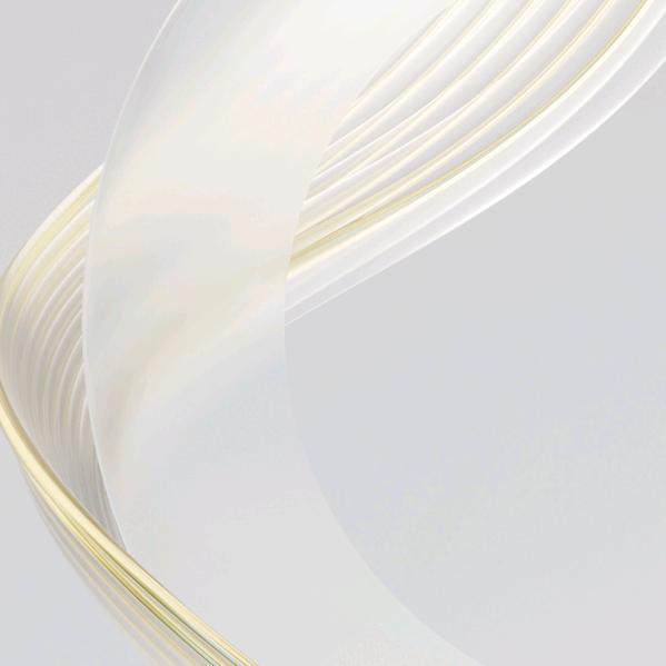 …………………………