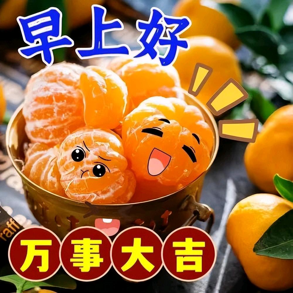 梦真
