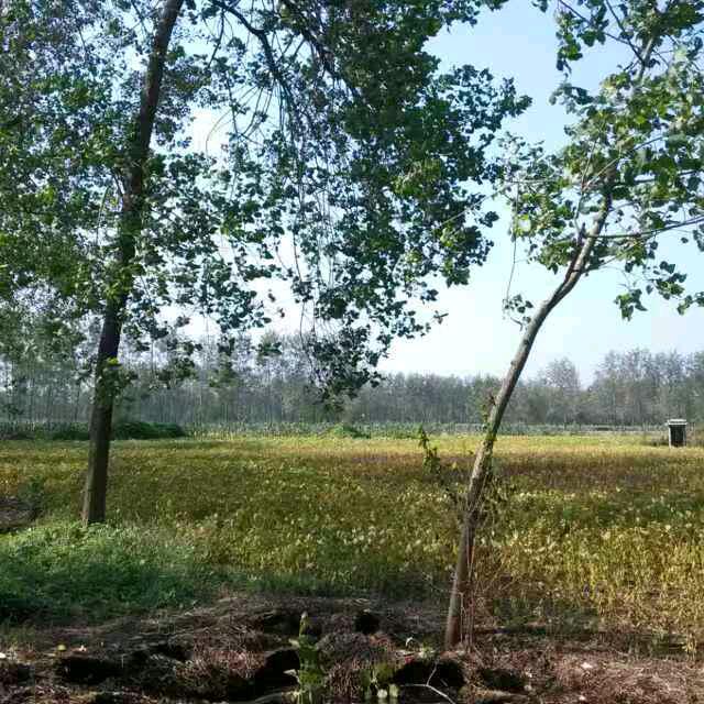 @ℒ往Ꭽℯ⃝后ℒ余Ꭽ生我陪你࿐