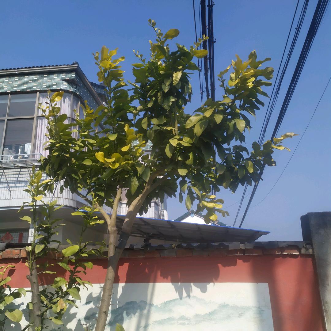 前进路上