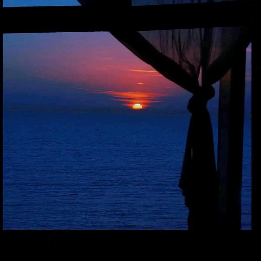 阿震（国一司空震）