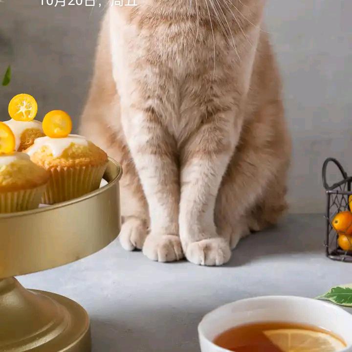 妮