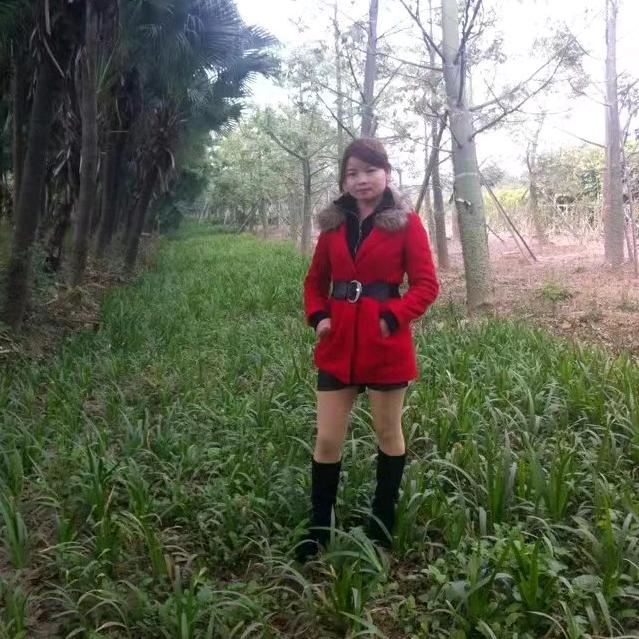 平淡的生活