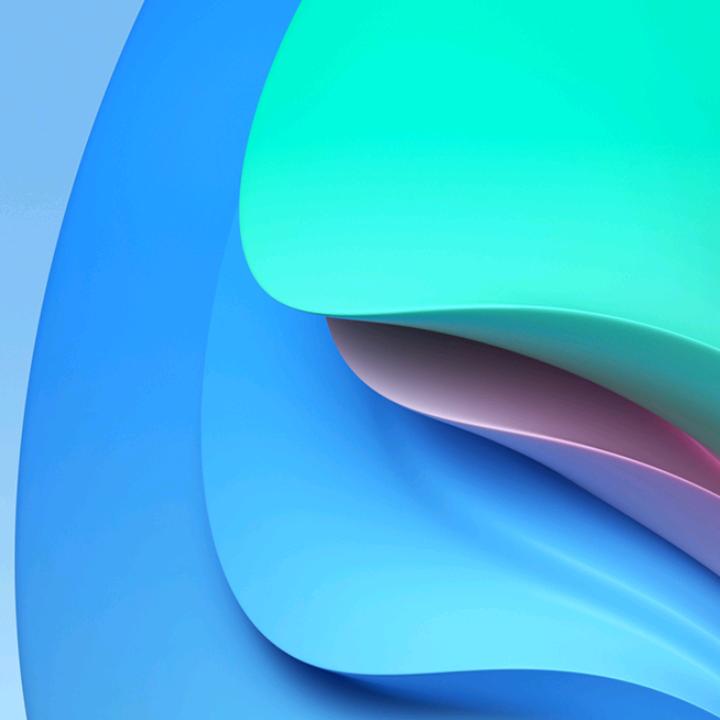 卵款金