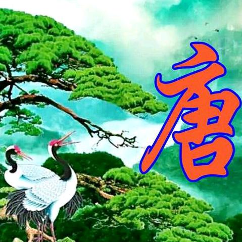 星光好物