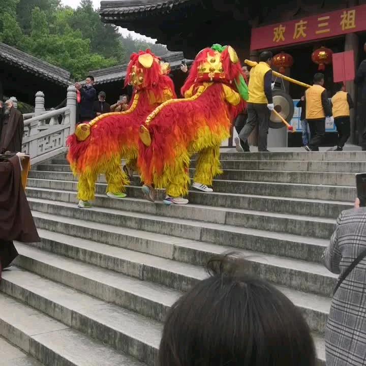 双狮王