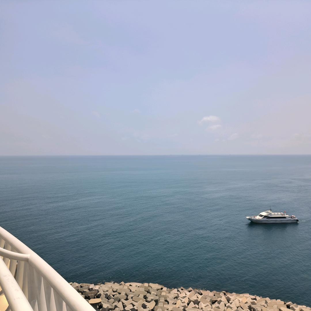 情不知所起一往情深