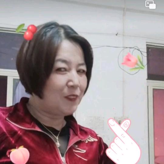 壮壮