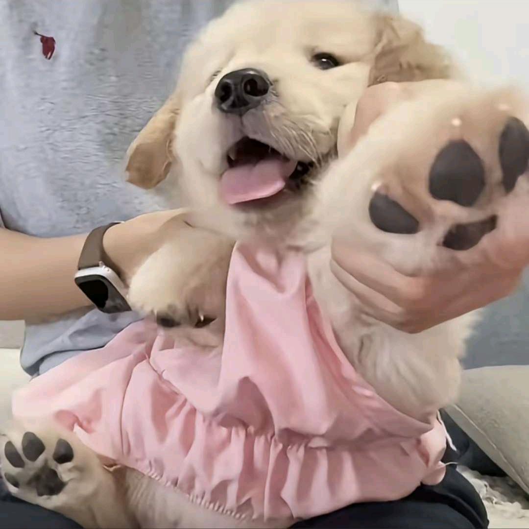 淇