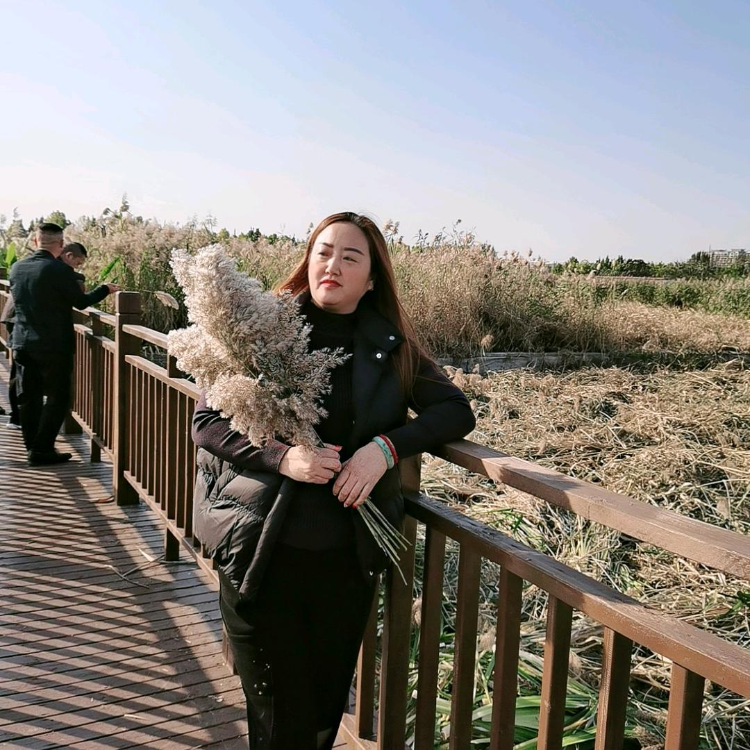 开心果，霞