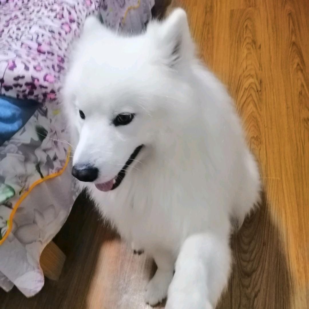 ꦋᩚꦿ醉笑🍀清᭄风࿐