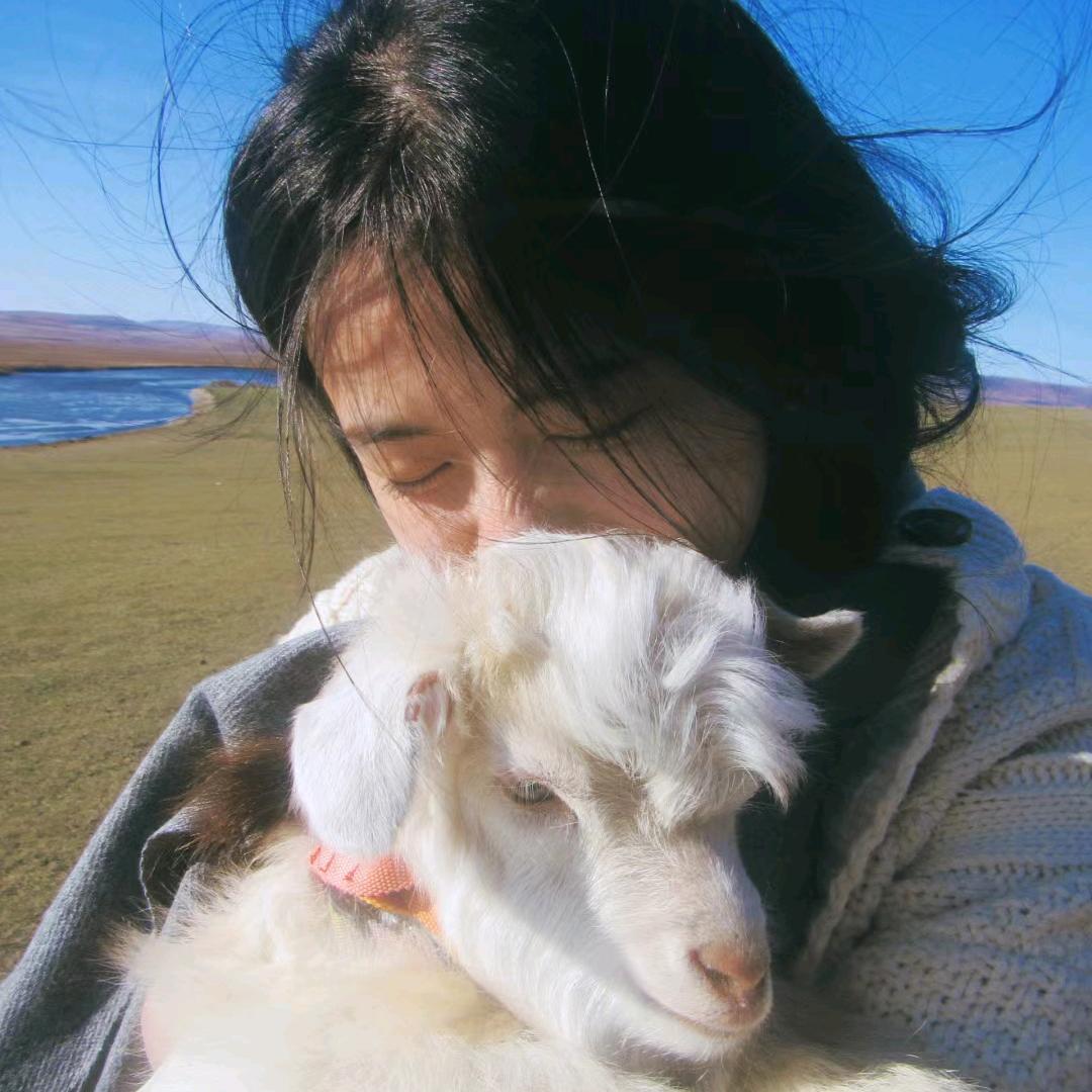 绵绵冰小🐑.