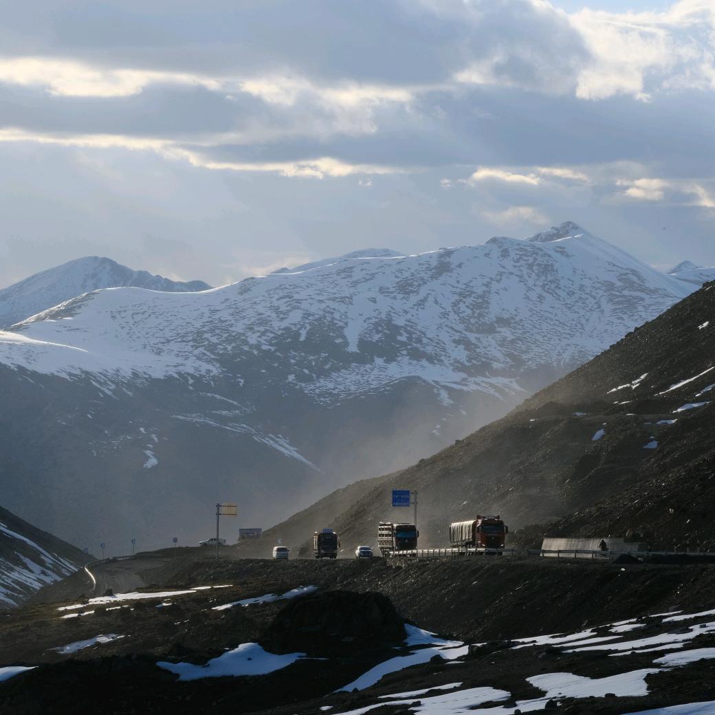 梦里不知身是客