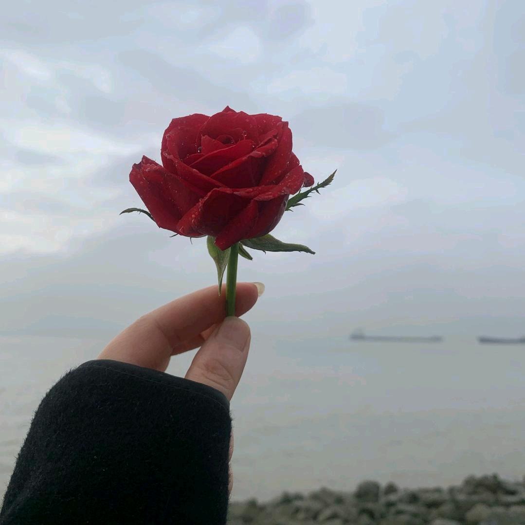 一缕阳光《2》