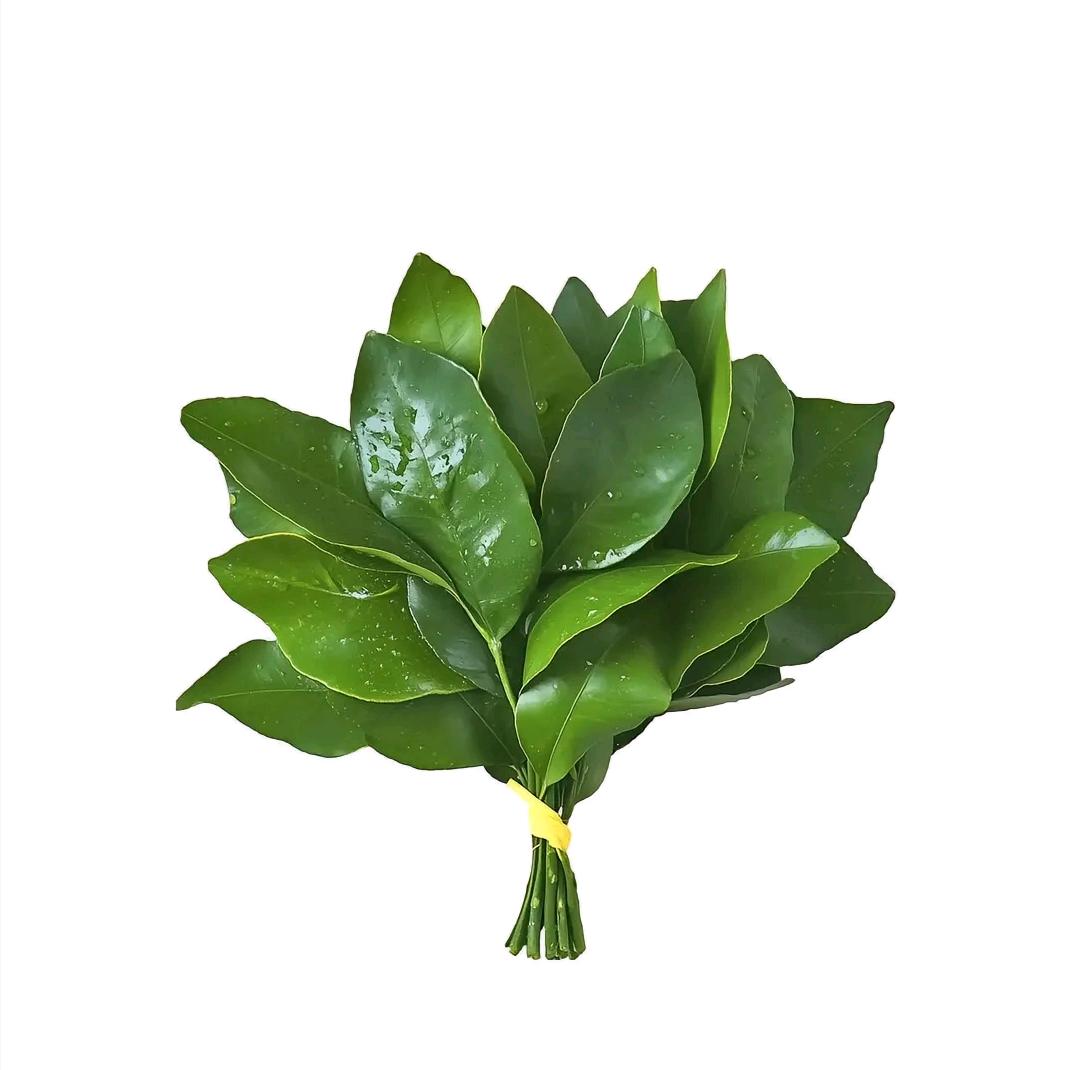 欧.