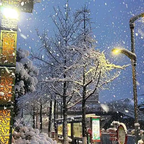 青雀-清荷