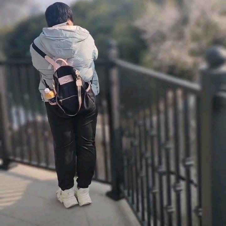 风    华