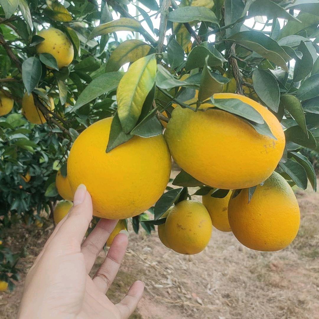 💞ঞᩚ᭄幸运ꕥ້໌ᮨ相随💕