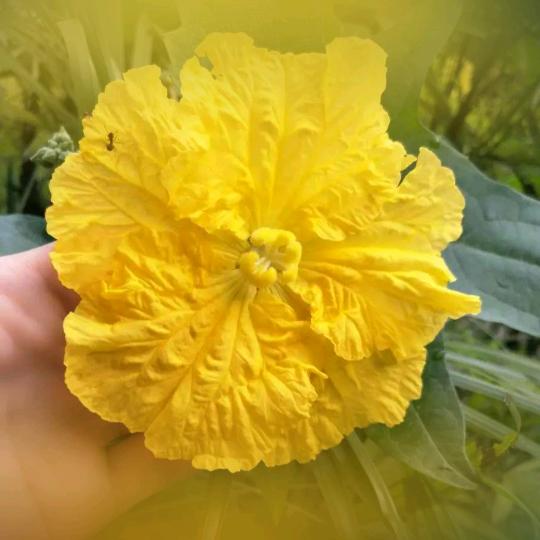 明天会更好💐