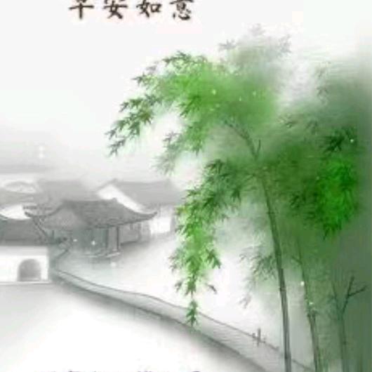 子兰