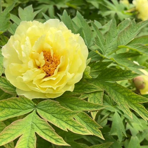 ℳঞ余生 ໌້ᮨ꧔ꦿ᭄不将就💕