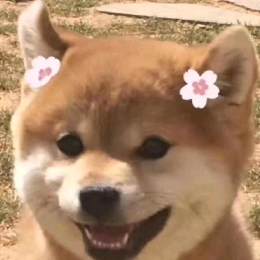 连鑫机械