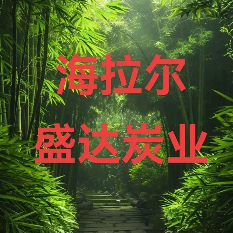 海拉尔盛达炭业