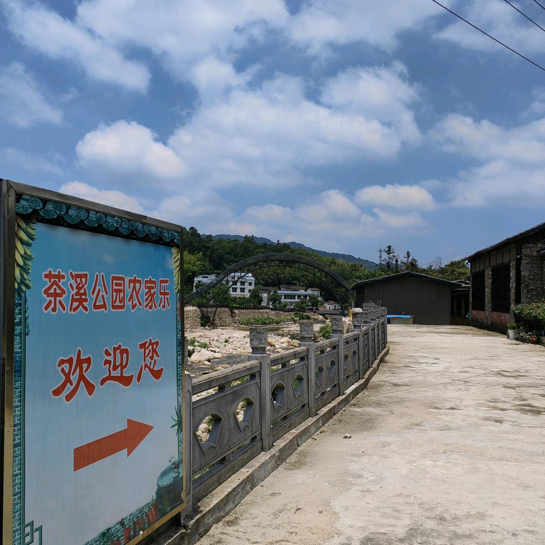 茶溪阿姐