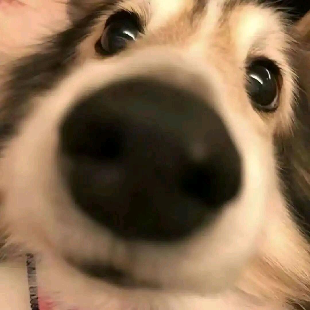 一天吃八顿
