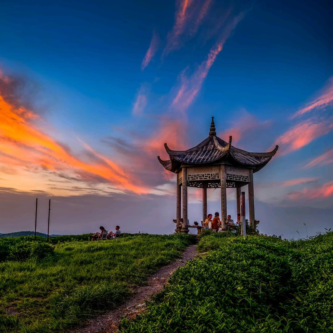 一直关注，一直爽