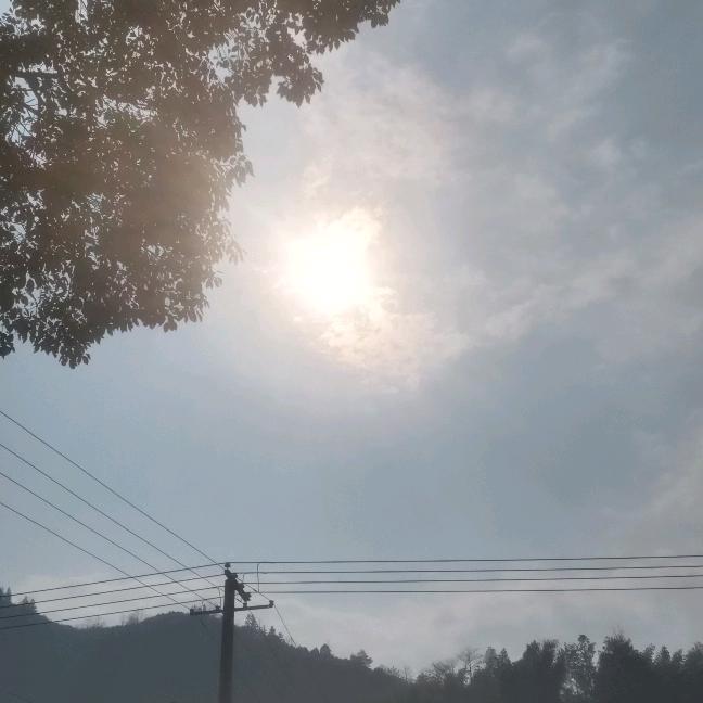 银海精微