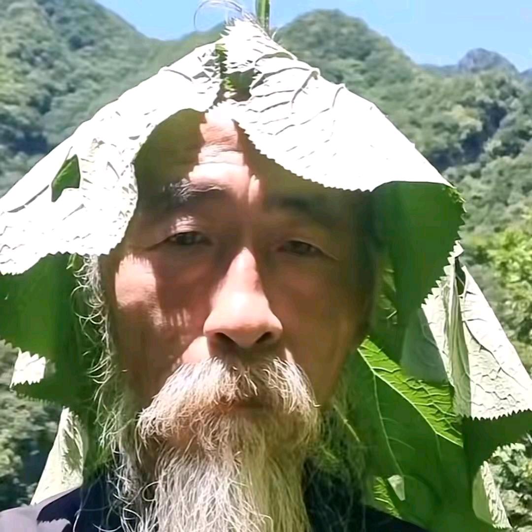 小兔大王🥕