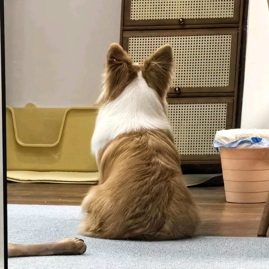 山夏