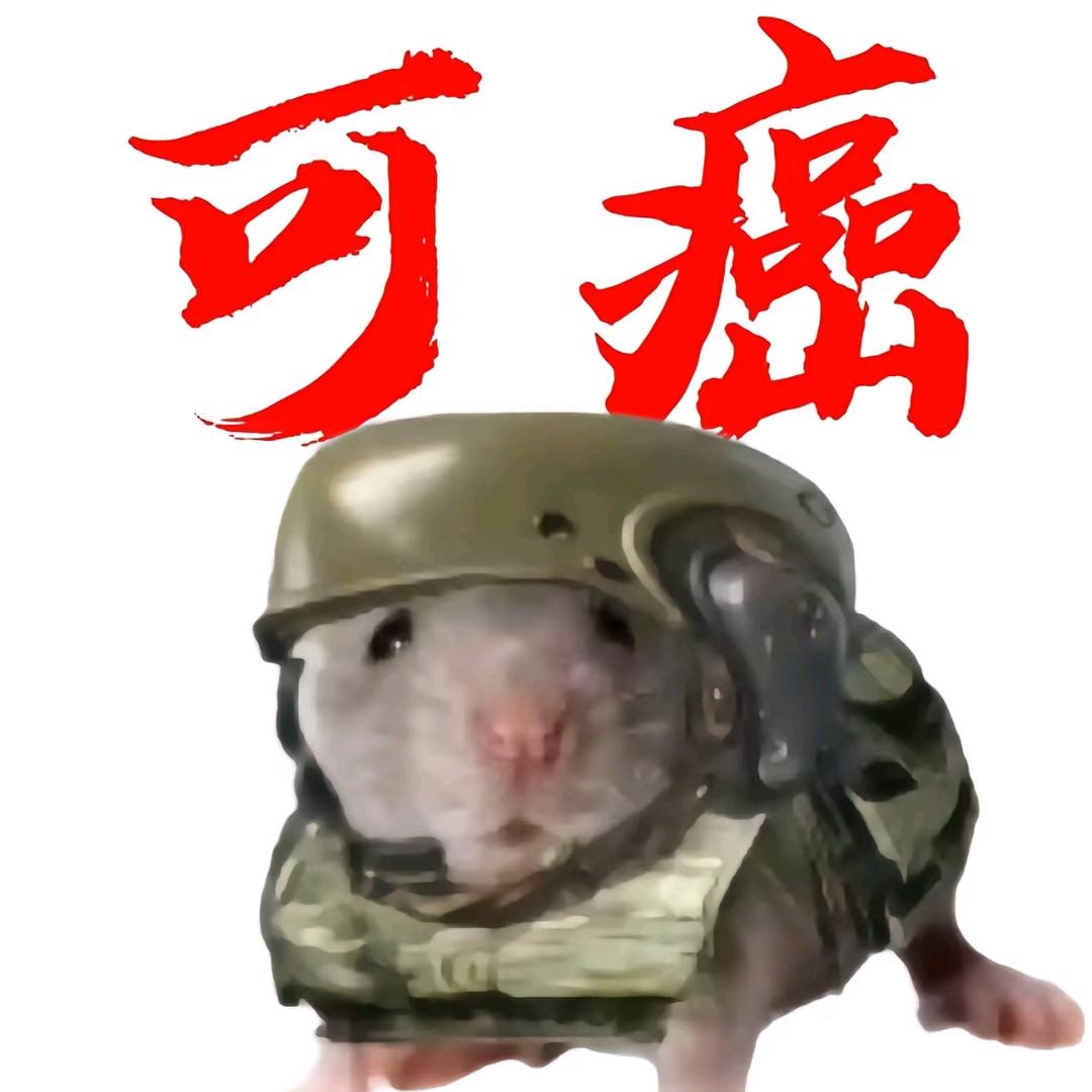 打球呀🏸