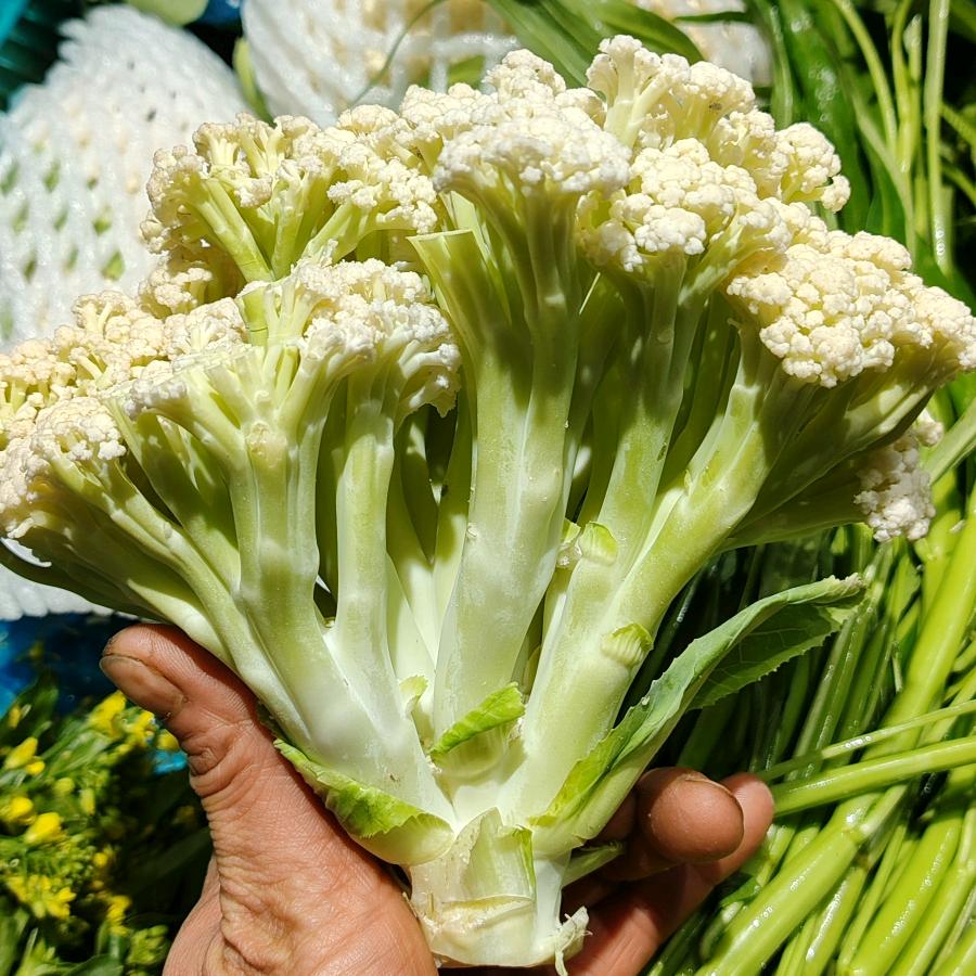 "゛許硪1.世忧殇ァ