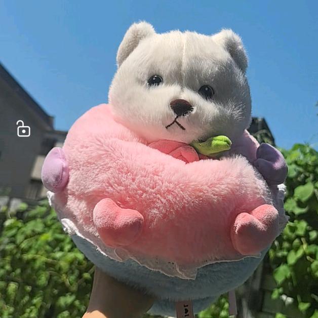 晓晓中古毛绒玩具