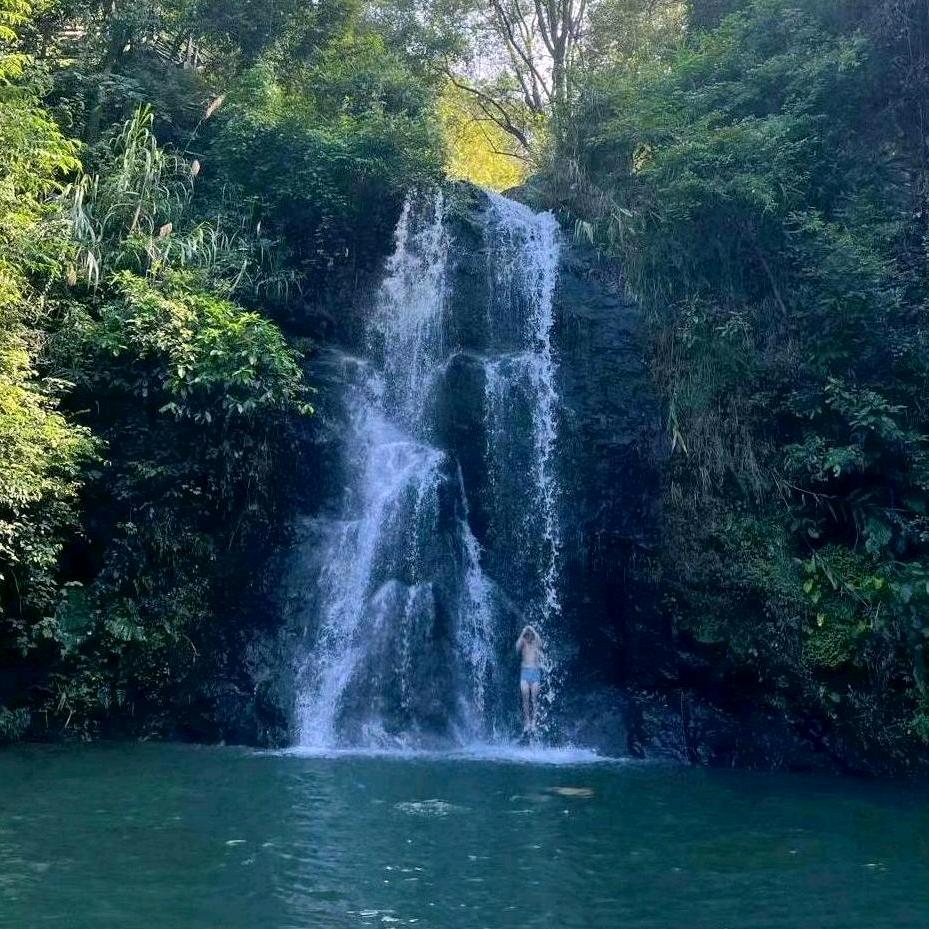 泮山老妖