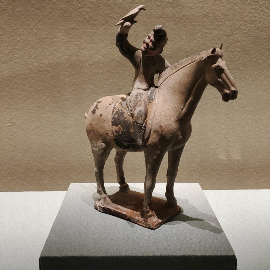 不停的走，不停的看