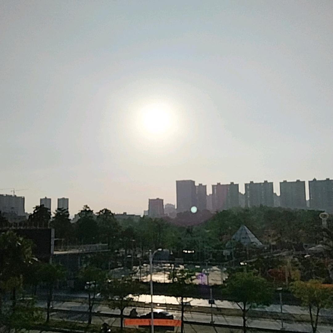 依