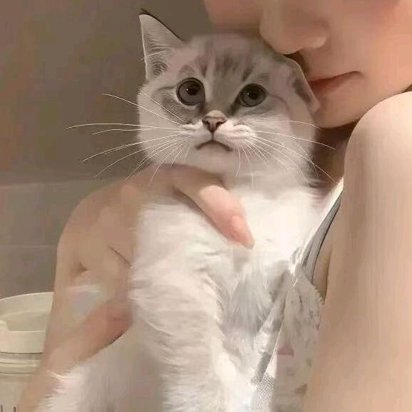 小狗炸毛 🐾💥🐶🔥