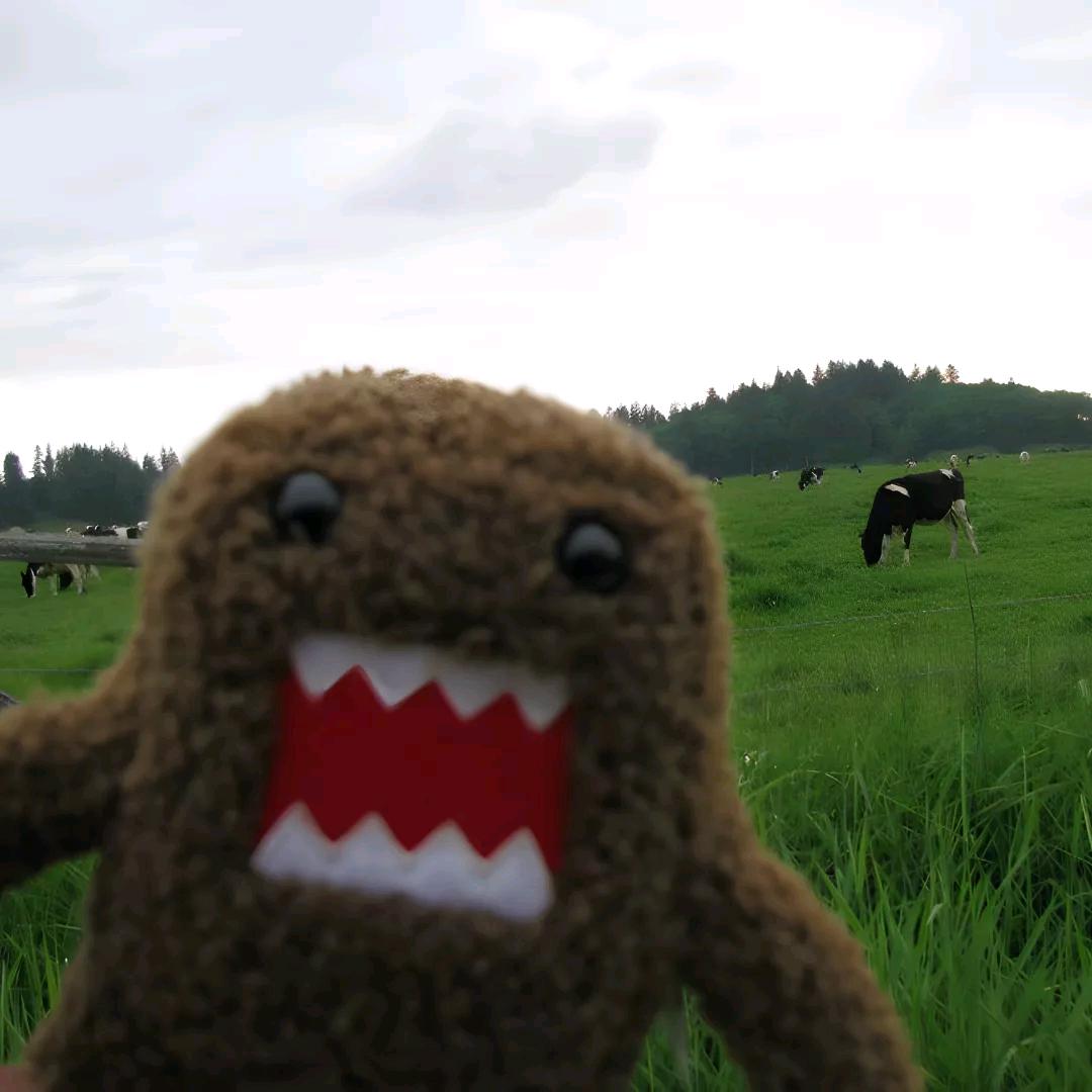 小困