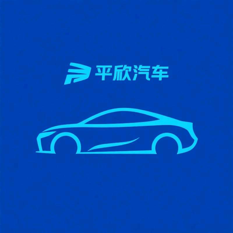 平欣汽车用品专营店