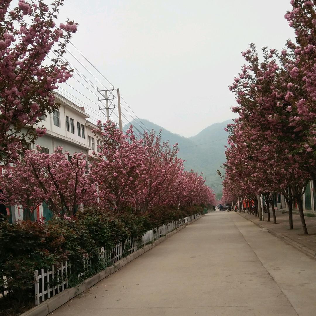 小小