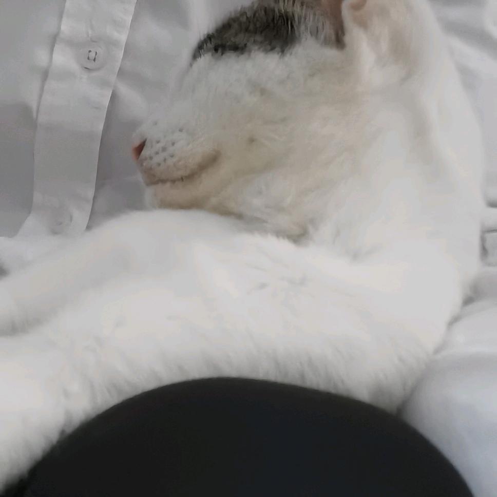 ♡̶眼̶里̶有̶星̶河̶