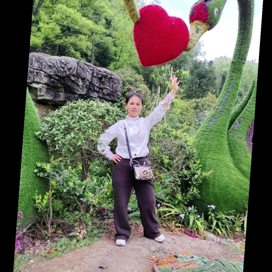 爱心姐妹做家政