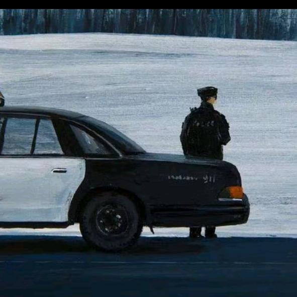 小天说车（老乡卖车）