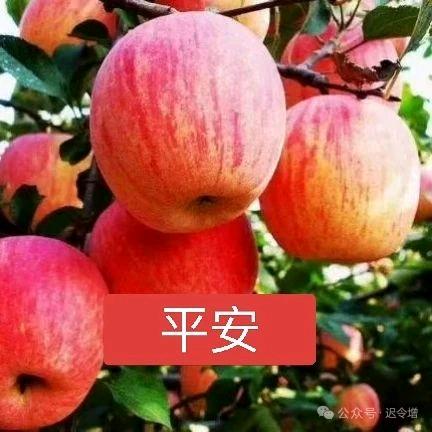 迟令增