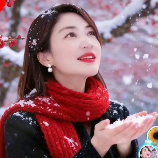 开欣姐   橱窗有好物