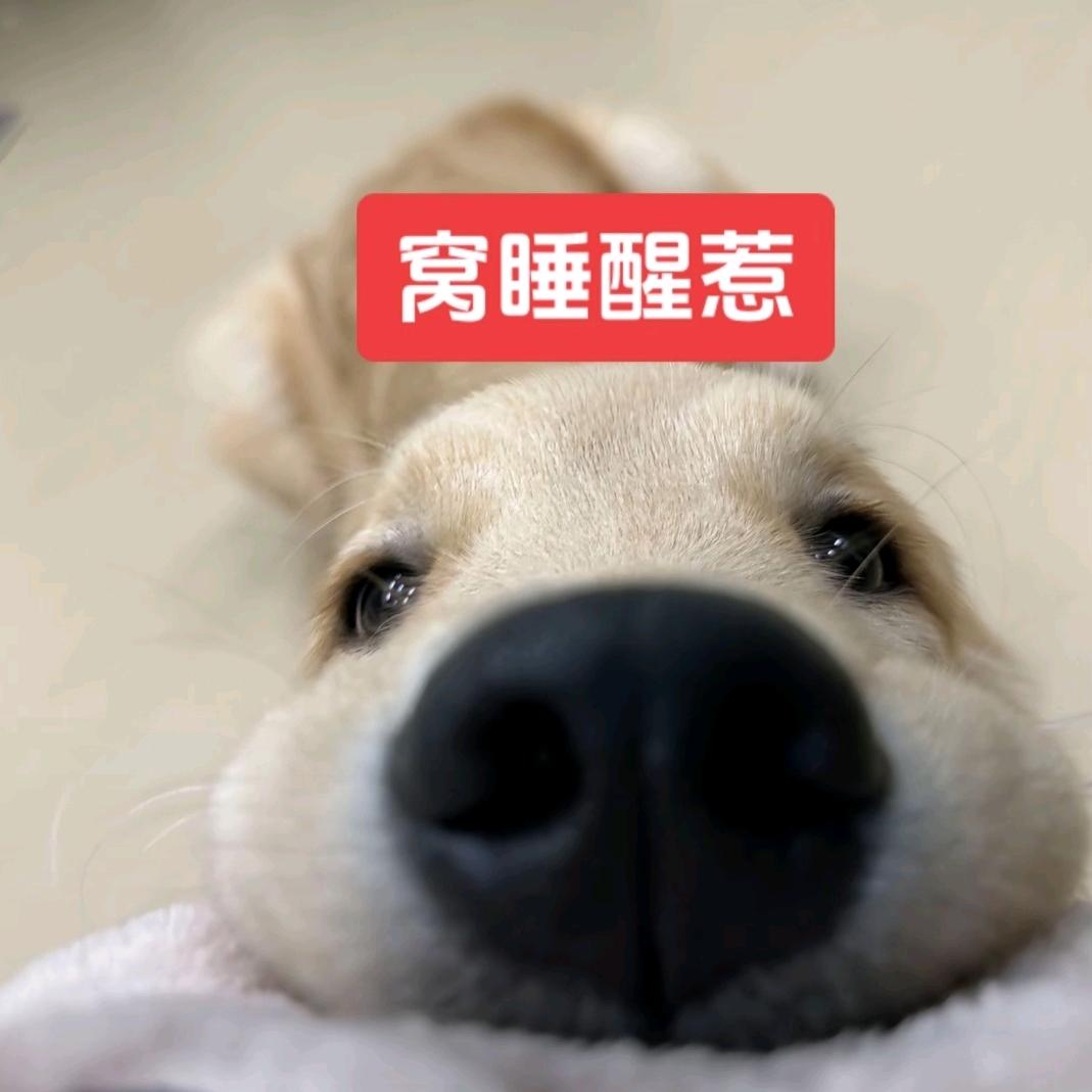 认蒸你就熟了